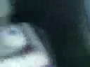 грузинский секис